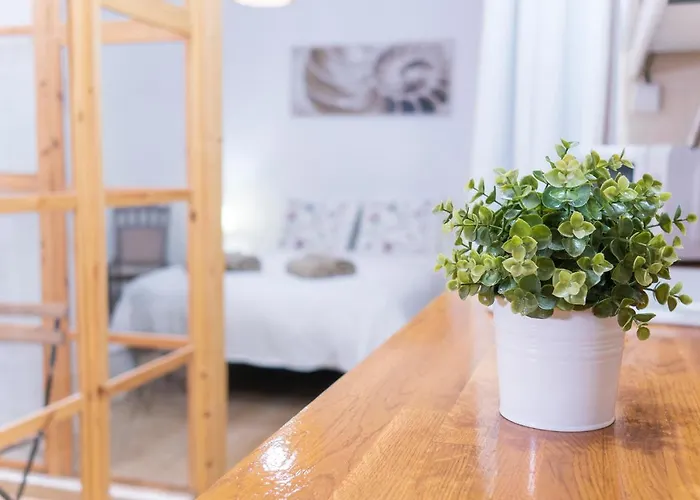 Lovely Apartment Malaga Center